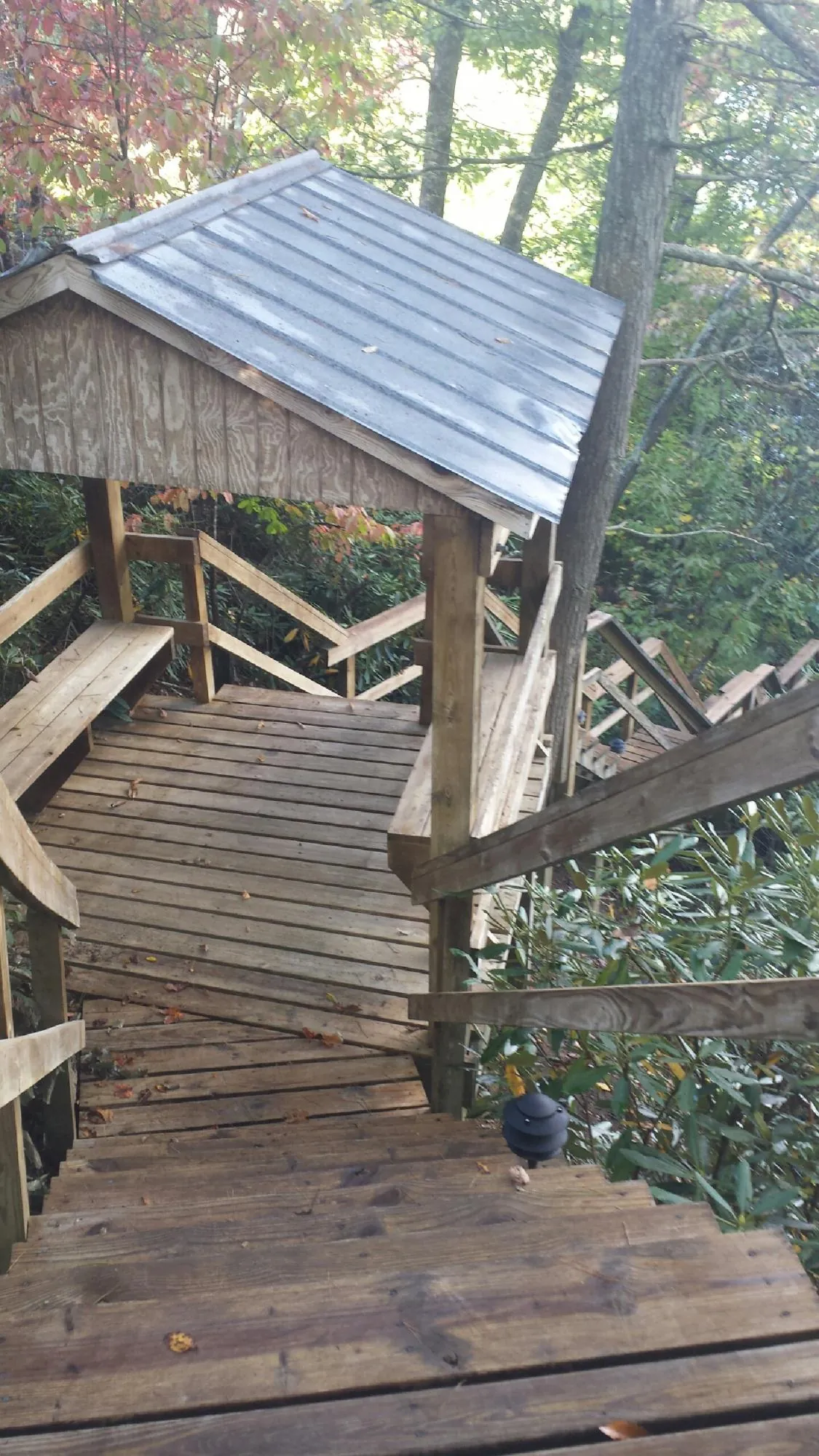 Metal roofed shelter over wooden steps on a wooded walkway — Skylight Repair & Installation work by our crew in Dyersburg