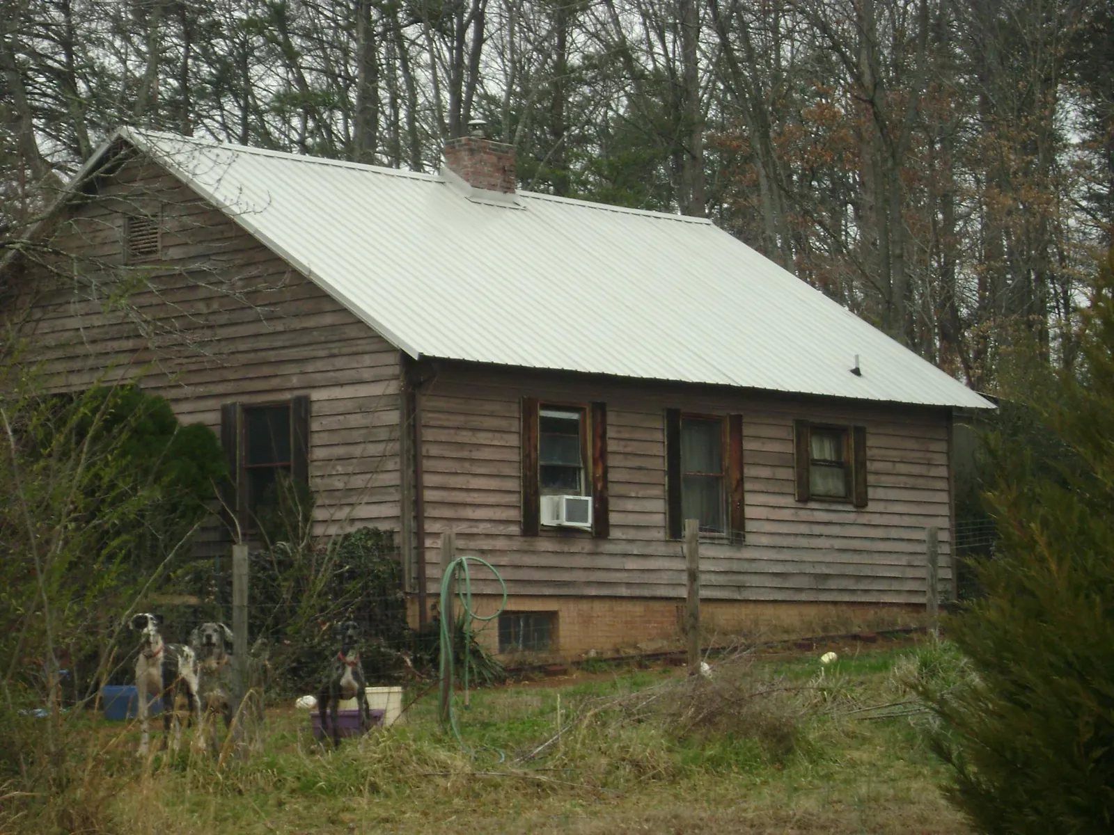 White metal roof on an old wood sided farmhouse, from a Asphalt Shingle Roof Repair job in Dyersburg